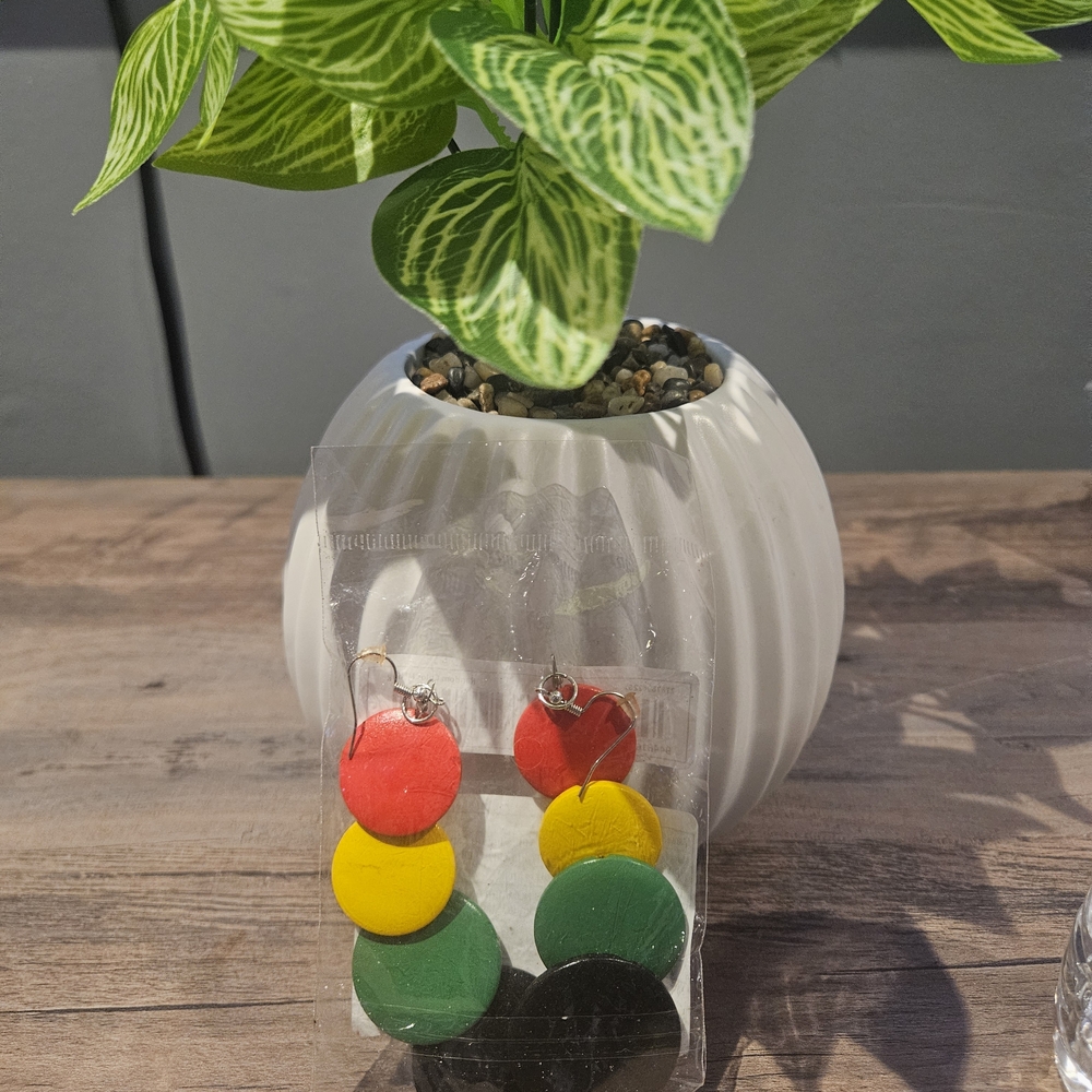 Colorful Circle Earrings